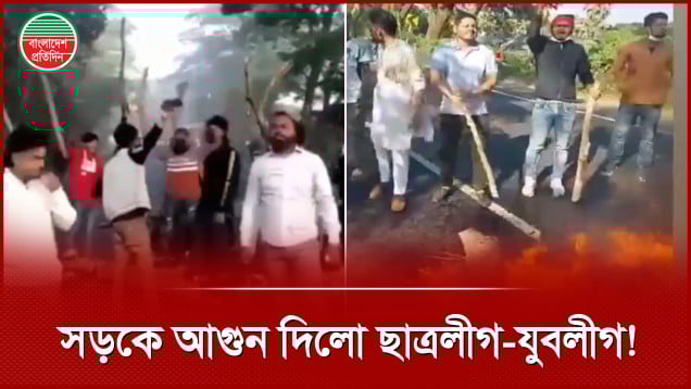 হাসিনার রায়ের পর সড়কে গাছ ফেলে আগুন দিলো ছাত্রলীগ-যুবলীগ