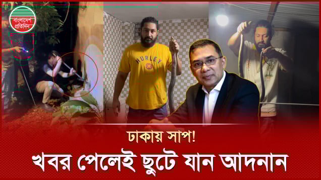 ঢাকায় সাপের উৎপাত! মানুষ রক্ষায় কাজ করছে তারেক রহমানের বিশেষ টিম