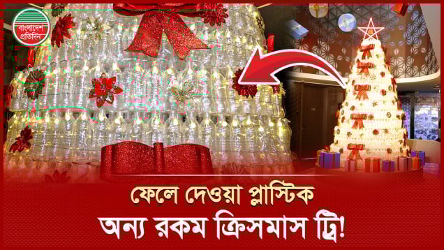 ফেলে দেওয়া হাজার হাজার প্লাস্টিক বোতল তৈরি হলো ক্রিসমাস ট্রি আর দৈত্য!