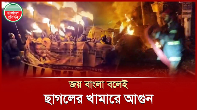 জয় বাংলা স্লোগান দিয়ে মশাল মিছিল, ছাগলের খামারে আগুন!