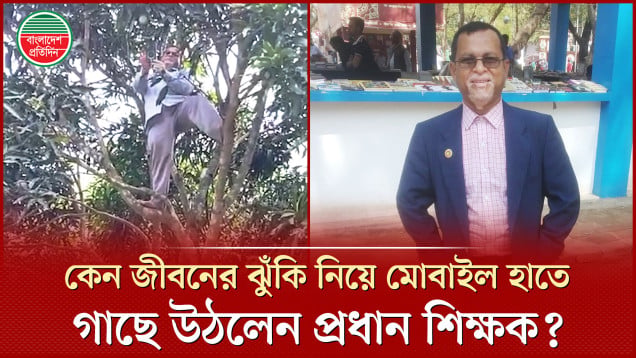 মোবাইল নিয়ে গাছে উঠার ব্যাখ্যা দিলেন আলোচিত সেই প্রধান শিক্ষক