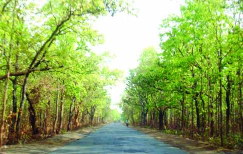 ভাওয়াল উদ্যান [ গাজীপুর ]