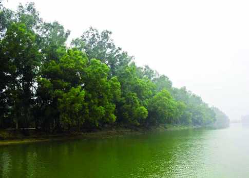 আলতাদিঘি উদ্যান