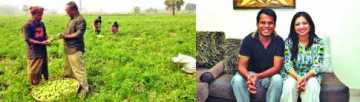 টিভি হাইলাইটস