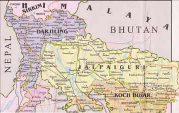 গরু চোর সন্দেহে ৪ জনকে পুড়িয়ে হত্যা