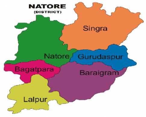 নাটোর মহাসড়কে ১২ ট্রাকে ডাকাতি, আহত ১০

