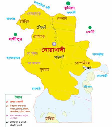 নোয়াখালীতে বই বিক্রি করতে গিয়ে অধ্যক্ষ আটক