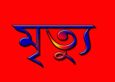 ছেলের আঘাতে বাবার মৃত্যু 