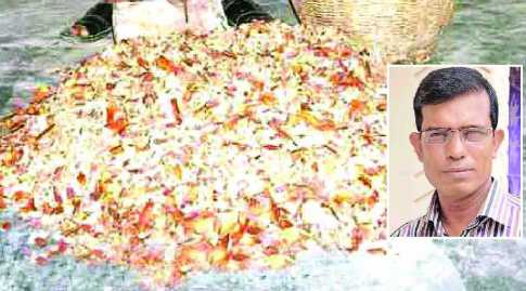 মেহগনি গাছের ফল থেকে ভেষজ কীটনাশক