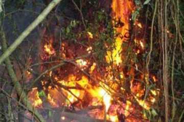 সুন্দরবনে এখনো থেমে থেমে জ্বলছে আগুন
