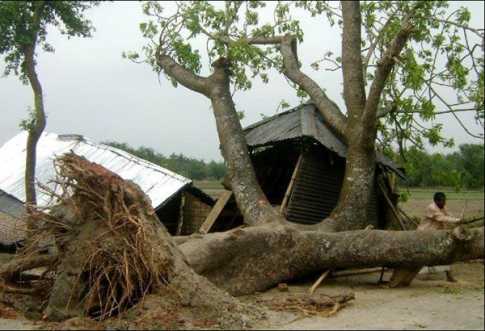 ফরিদপুরে ঝড়ে নিহত ২, ঘরবাড়ি বিধ্বস্ত