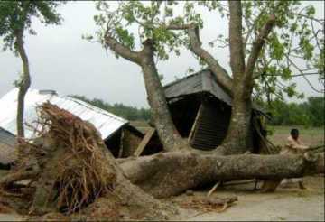 ফরিদপুরে ঝড়ে নিহত ২, ঘরবাড়ি বিধ্বস্ত
