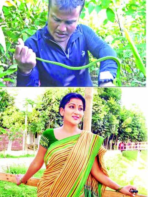 টিভি আয়োজন 