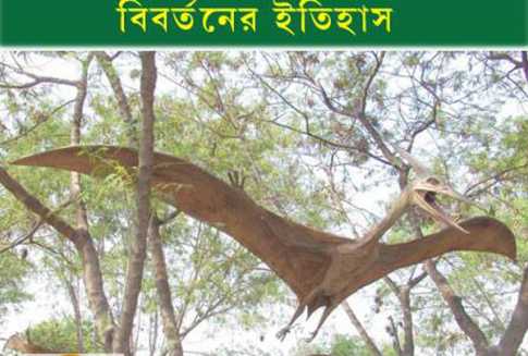 সেই ডাইনোসর আজকের পাখি!
