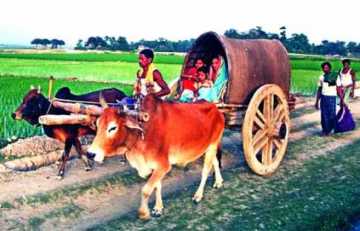 উত্তরবঙ্গে চলছে নববধূদের \\\'ভাদর কাটানি\\\'