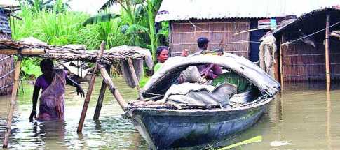 মাওয়ায় ভাঙন, বন্ধ নৌ চলাচল