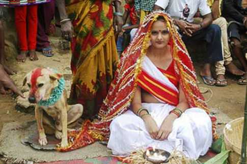 কুকুরের সঙ্গে তরুণীর বিয়ে