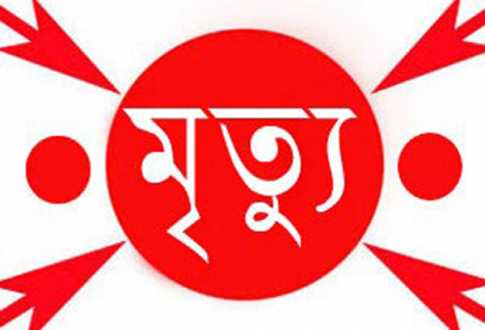 নওগাঁয় সাপের কামড়ে কলেজ ছাত্রের মৃত্যু