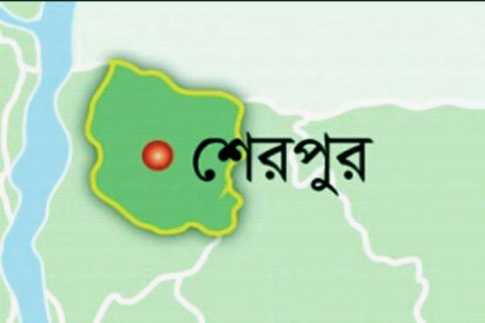 নালিতাবাড়ীতে আওয়ামী লীগ নেতার আত্মহত্যা