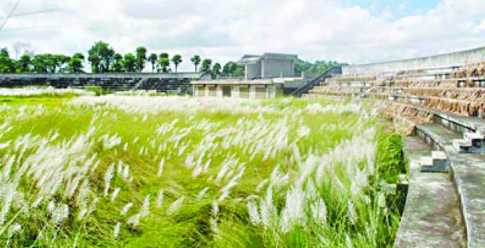 স্টেডিয়াম যেন কাশবন! 