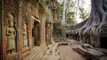জঙ্গলের মাঝে প্রাচীন শহর 