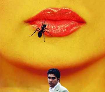 জাজের পরিবেশনায় পিঁপড়াবিদ্যা 