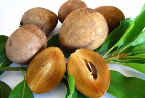সফেদার নানা গুণ