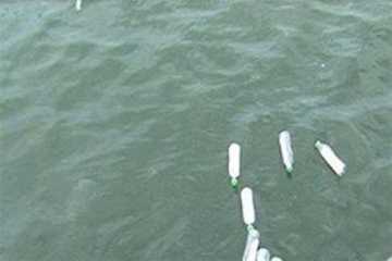 সার্টিফিকেট সমুদ্রে ভাসিয়ে দিলো শিক্ষার্থীরা!