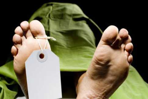 নরসিংদীতে ছাত্রদল নেতা ও প্রকৌশলীর লাশ উদ্ধার