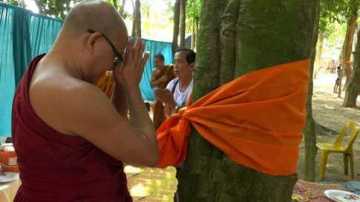 গাছ রক্ষায় বৌদ্ধ ভিক্ষুর অভিনব আন্দোলন