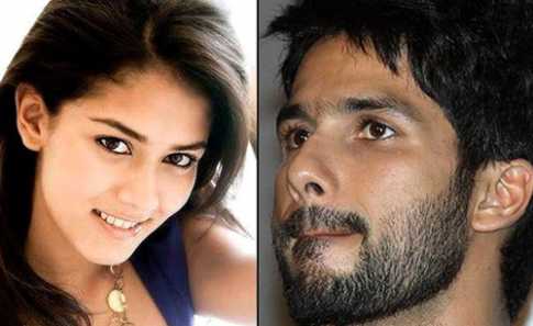 মীরার সঙ্গে বিয়ে হচ্ছে না শাহেদের