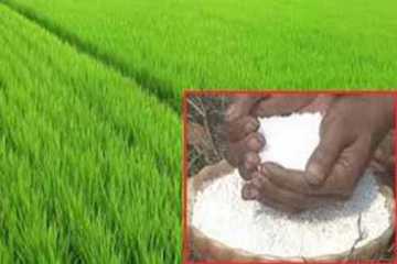 \\\'২০ লাখ মেট্রিক টন ইউরিয়া আমদানি করা হবে\\\'