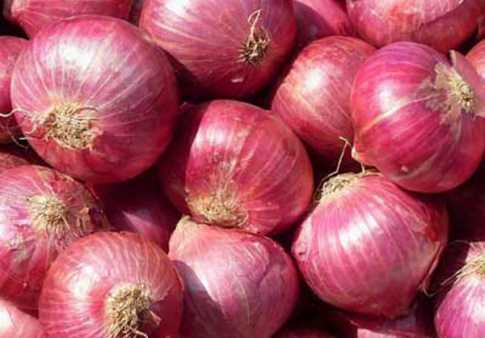 ঝাঁঝ ছাড়া নতুন জাতের পেঁয়াজ
