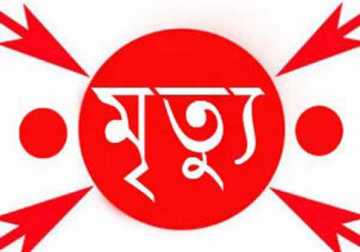 মাগুরায় পেট্রোলবোমায় দগ্ধ ট্রাক চালকের মৃত্যু