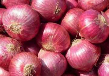 ঝাঁঝ ছাড়া নতুন জাতের পেঁয়াজ