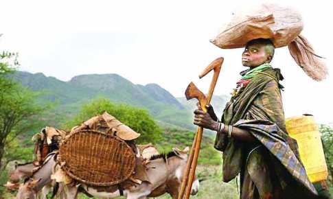 বৈচিত্র্যময় যাযাবর জীবন 