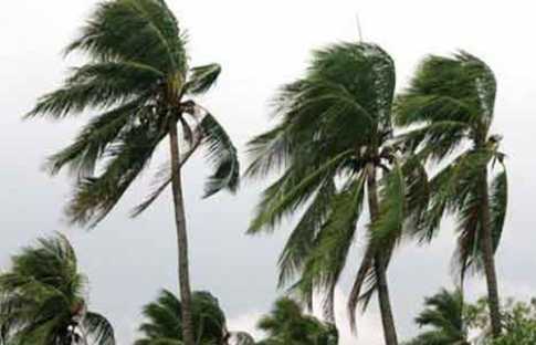 ঝড়ে নিহতের সংখ্যা বেড়ে ২৩
