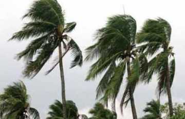ঝড়ে নিহতের সংখ্যা বেড়ে ২৩