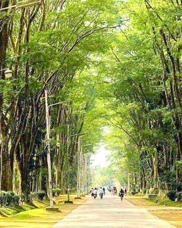 চিরযৌবনা প্যারিস রোড 
