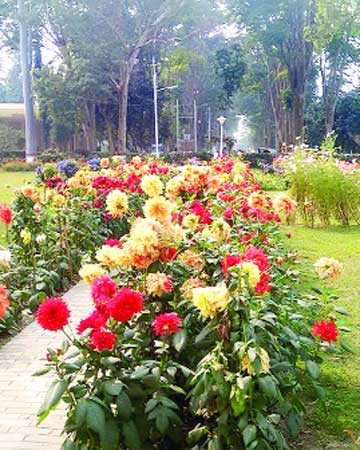 ফুলের গন্ধে সুবাসিত সবুজ মতিহার 