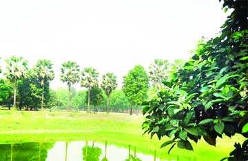 আড্ডায় মুখরিত যত চত্বর 
