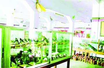 প্রাণী বৈচিত্র্যের সমাহার প্রাণিবিদ্যা জাদুঘর 