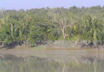 সুন্দরবনে ডুবে যাওয়া সারবোঝাই জাহাজ উদ্ধার হয়নি