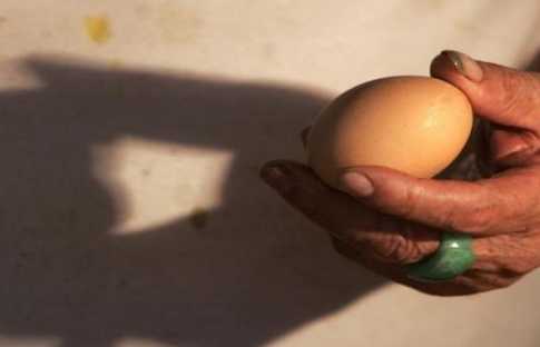 ডিমের ভেতর ডিম