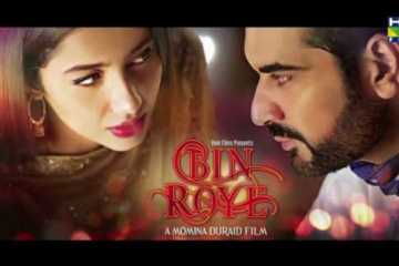 মহারাষ্ট্রে মুক্তি পাচ্ছে না পাকিস্তানি ছবি বিন রোয়ে