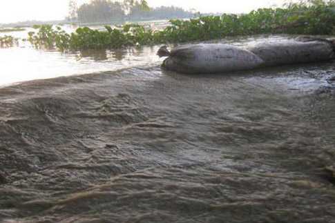 ৬ নদীর পানি বিপদসীমার উপর