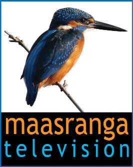 পঞ্চম বর্ষে মাছরাঙা 