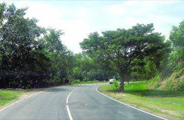 চার লেন হচ্ছে ১৭৫২ কিমি সড়ক