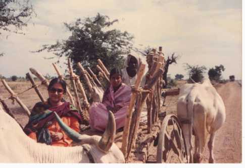উত্তরাঞ্চলের ঐতিহ্যবাহী \\\'ভাদর কাটানি\\\' উৎসব
