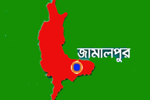 গ্রামবাসীর ফাঁদে ২ বন্য হাতির মৃত্যু
